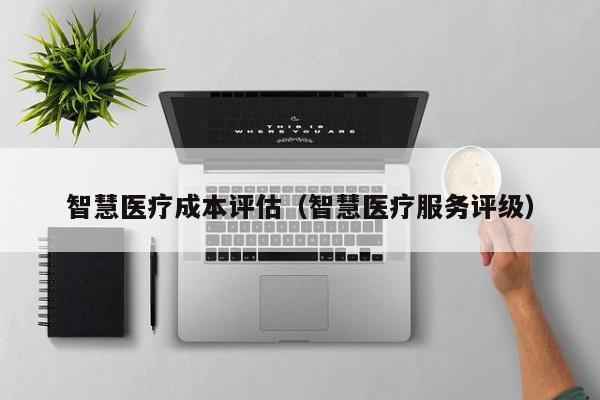 智慧医疗成本评估（智慧医疗服务评级）